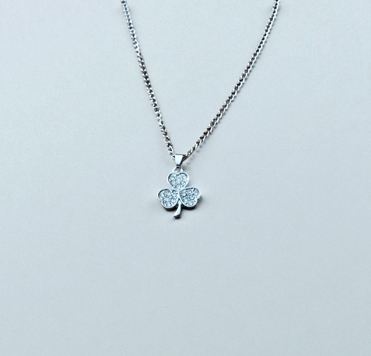 IMG_3813.jpeg - สินค้า รหัส 043 (New) สร้อยคอแฟชั่น ราคา 25 บาท